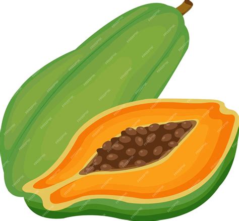 pabaya clipart|Papaya Clip Art vectors .
